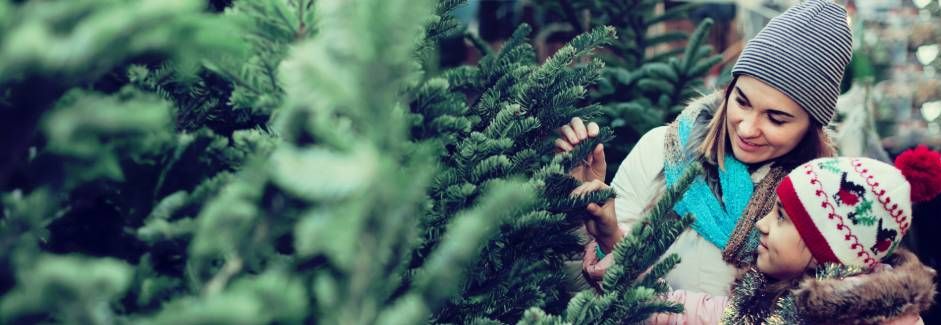 Mutter und Kind suchen Weihnachtsbaum aus